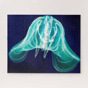 Jelly Fish Puzzle