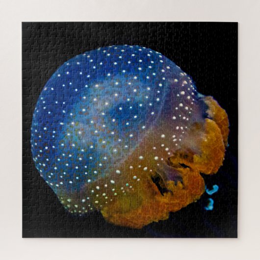 Jelly Fish Puzzle (Vertikal)