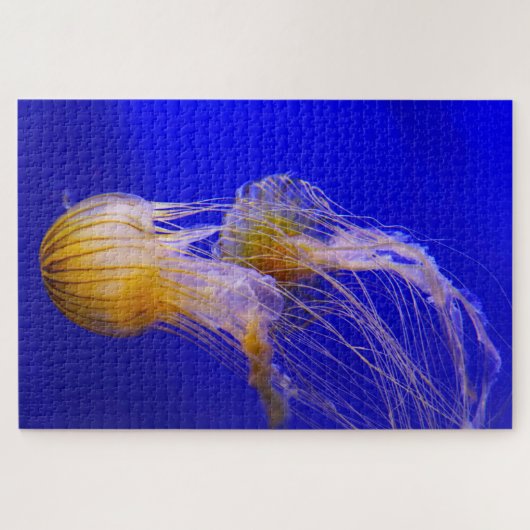 Jelly Fish Puzzle (Horizontal)
