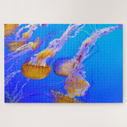 Jelly Fish Puzzle (Horizontal)