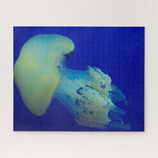Jelly Fish Puzzle (Horizontal)