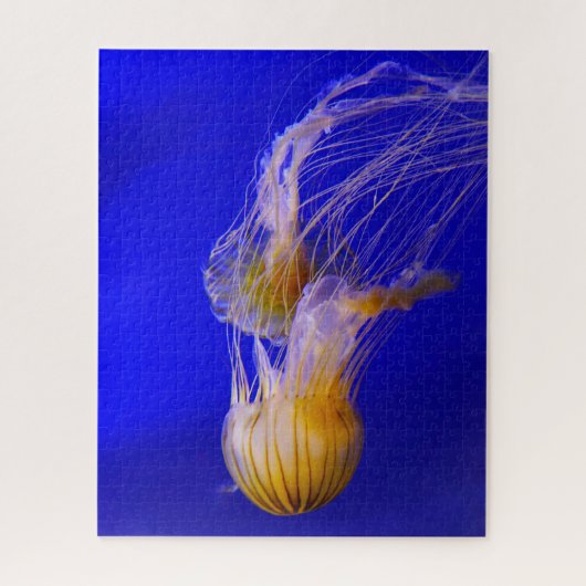 Jelly Fish Puzzle (Vertikal)