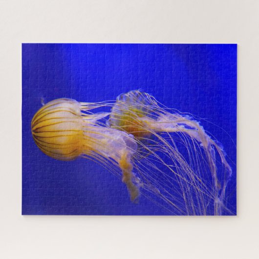 Jelly Fish Puzzle (Horizontal)