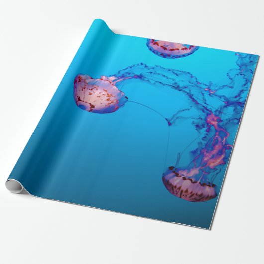 JELLY FISHES UNTERWASSER GESCHENKPAPIER (Ungerollt)