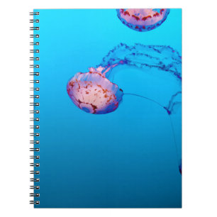 JELLY FISHES UNTERWASSER NOTIZBLOCK