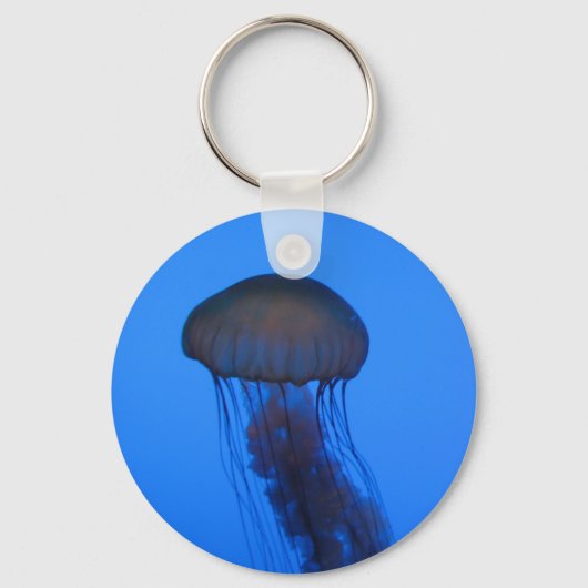 Jelly Key Chain Schlüsselanhänger (Vorderseite)