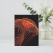 Jelly Light Postkarte (Stehend Vorderseite)