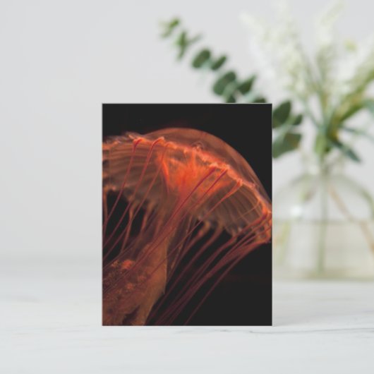 Jelly Light Postkarte (Stehend Vorderseite)