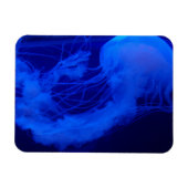 Jelly-Magnet Magnet (Horizontal)