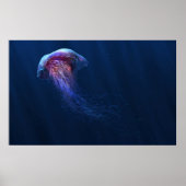 Jelly Poster (Vorne)