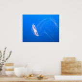 jellyfish-474059 jellyfish tentacles poisonous und poster (Küche)