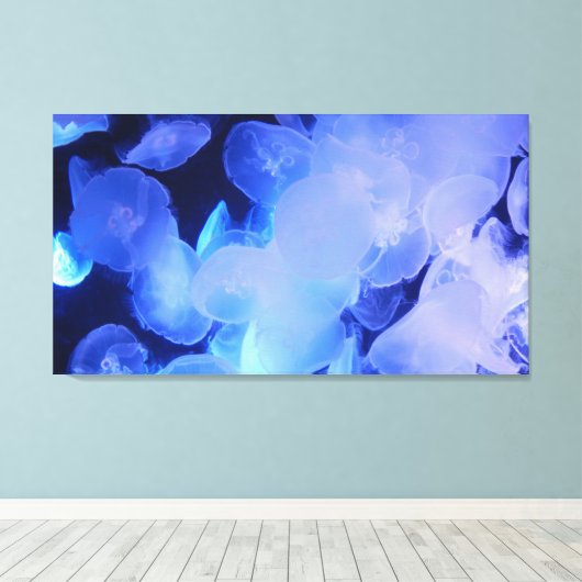 JELLYFISH AUF LEINWAND 20 "x 16" (Insitu (Holzboden))