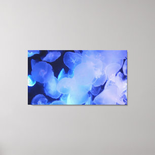 JELLYFISH AUF LEINWAND 20 "x 16"