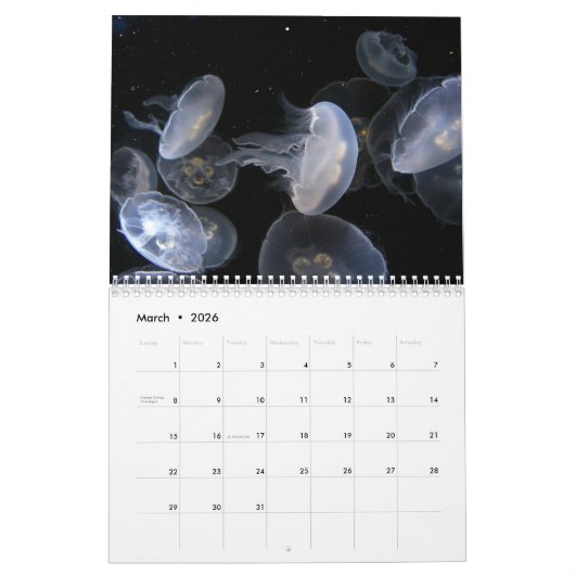 Jellyfish Custom Printed Calendar 2022 Kalender (Mär 2026)