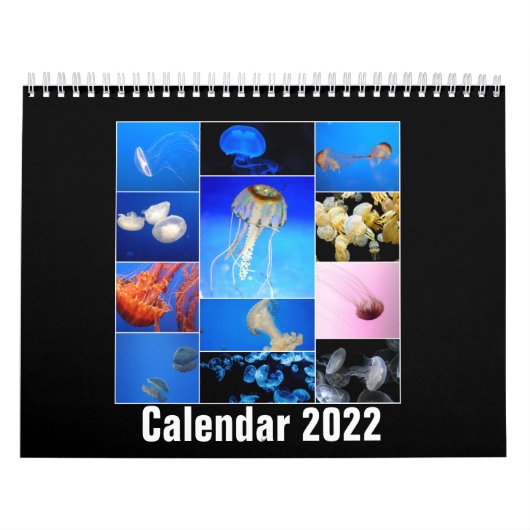 Jellyfish Custom Printed Calendar 2022 Kalender (Titelbild)