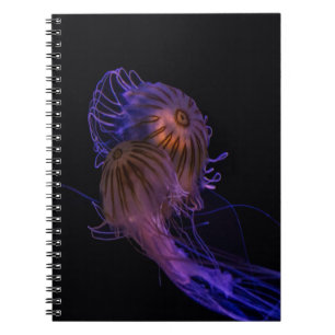 Jellyfish Dance Partners Notizblock
