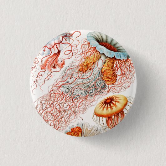 Jellyfish, Discomedusae by Ernst Haeckel Button (Vorderseite)