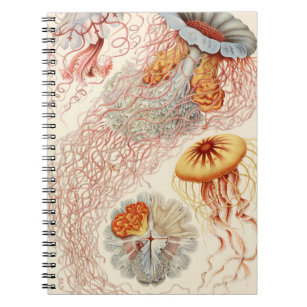 Jellyfish - Ernst Haeckel Notizblock