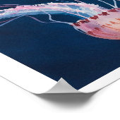 Jellyfish Jam von Paul Jackson, aws, nws Poster (Ecke)