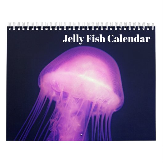 Jellyfish-Kalender 2025 Kalender (Titelbild)