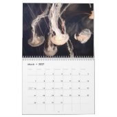 Jellyfish-Kalender 2025 Kalender (Mär 2027)