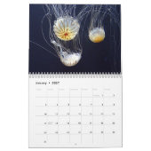 Jellyfish-Kalender 2025 Kalender (Jan 2027)
