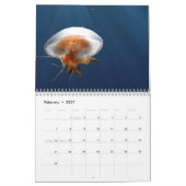 Jellyfish-Kalender 2025 Kalender (Feb 2027)
