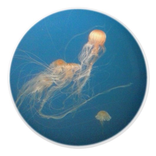 JellyFish Keramik Möbelknöpfe Keramikknauf (Vorderseite)