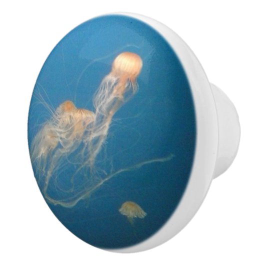 JellyFish Keramik Möbelknöpfe Keramikknauf (Rechts)