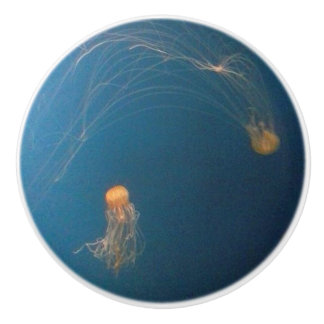 JellyFish Keramik Möbelknöpfe Keramikknauf