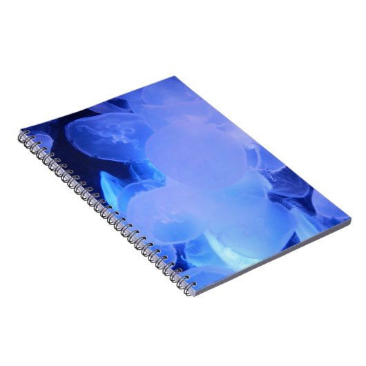 JELLYFISH NOTIZBLOCK (Rechte Seite)