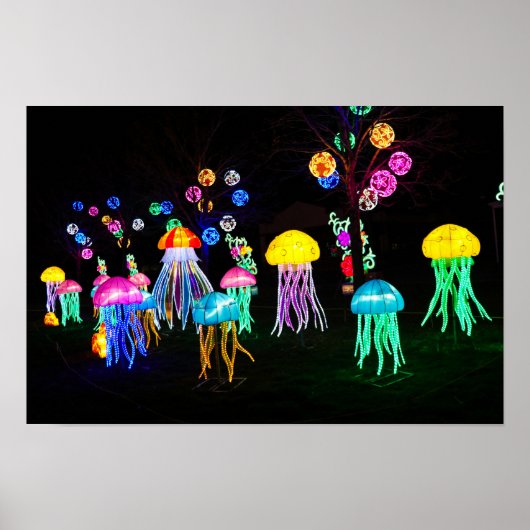 Jellyfish of Lights  Poster (Vorne)