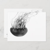 Jellyfish Postcard Postkarte (Vorne/Hinten)