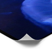 JELLYFISH POSTER (Ecke)