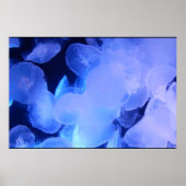 JELLYFISH POSTER (Vorne)