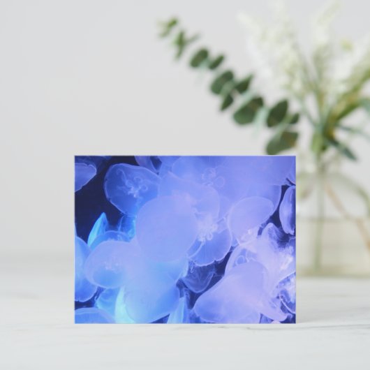 JELLYFISH POSTKARTE (Stehend Vorderseite)