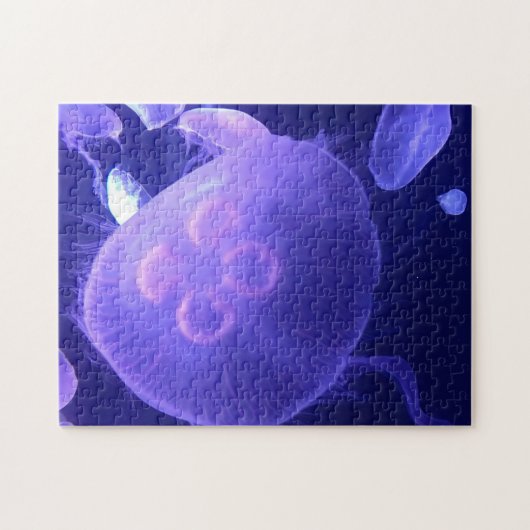 Jellyfish Puzzle (Horizontal)