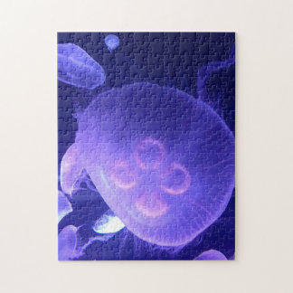 Jellyfish Puzzle