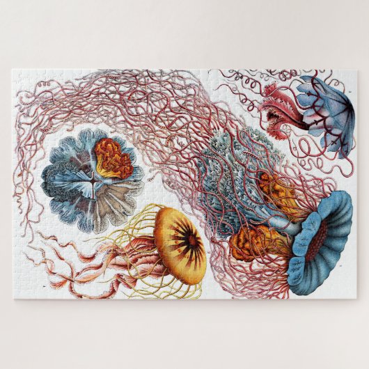 Jellyfish (Scheibenquallen) von Ernst Haeckel Puzzle (Horizontal)