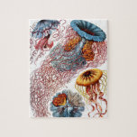 Jellyfish (Scheibenquallen) von Ernst Haeckel Puzzle<br><div class="desc">Bitte besuchen Sie mein Geschäft für mehr interessantes Design und mehr Farbwahl. => zazzle.com/colorfulworld*</div>