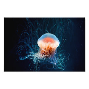 Jellyfish Underwater - Dark Glow Fotodruck