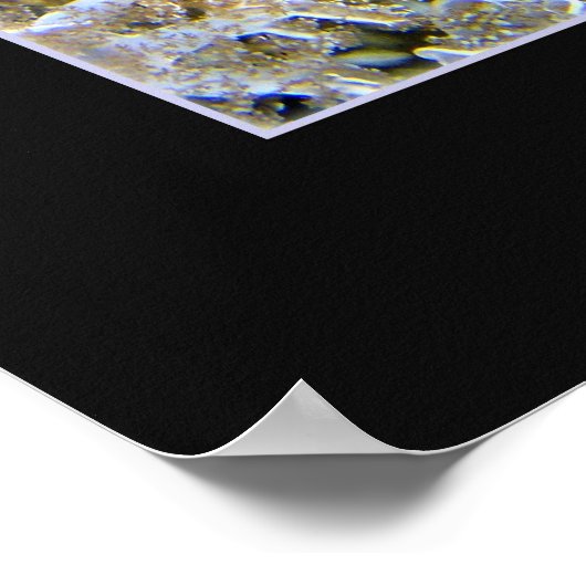 Jellyship Poster (Ecke)