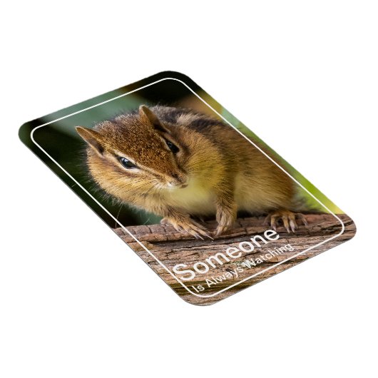 Jemand beobachtet Chipmunk Magnet (Rechte Seite)