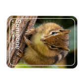 Jemand beobachtet Chipmunk Magnet (Horizontal)