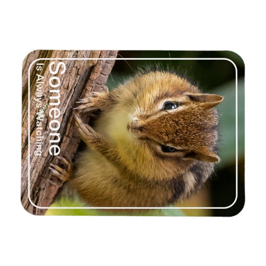Jemand beobachtet Chipmunk Magnet (Horizontal)