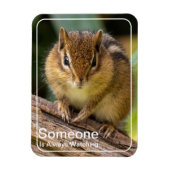 Jemand beobachtet Chipmunk Magnet (Vertikal)
