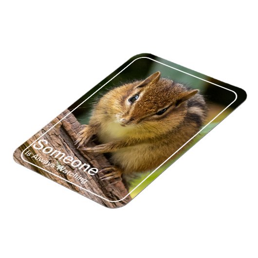 Jemand beobachtet Chipmunk Magnet (Linke Seite)