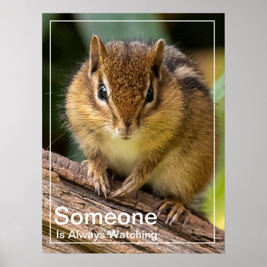 Jemand beobachtet Chipmunk Poster (Vorne)