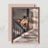 Jemand beobachtet DICH Postkarte (Vorne/Hinten)