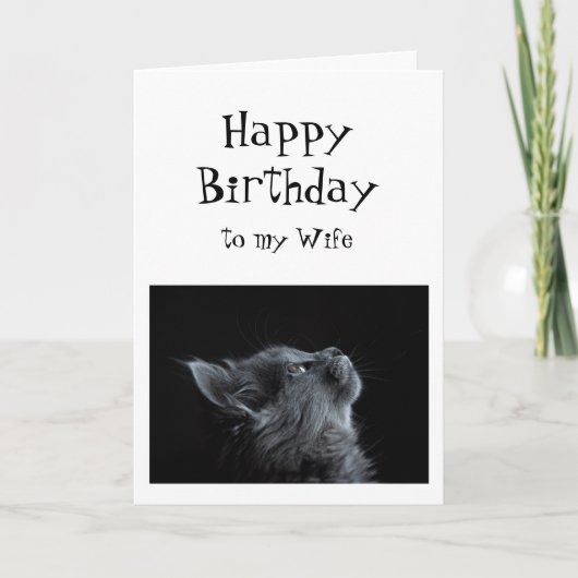 Jemand, den ich auf Ehefrau Birthday Animal Spaß s Karte (Vorderseite)